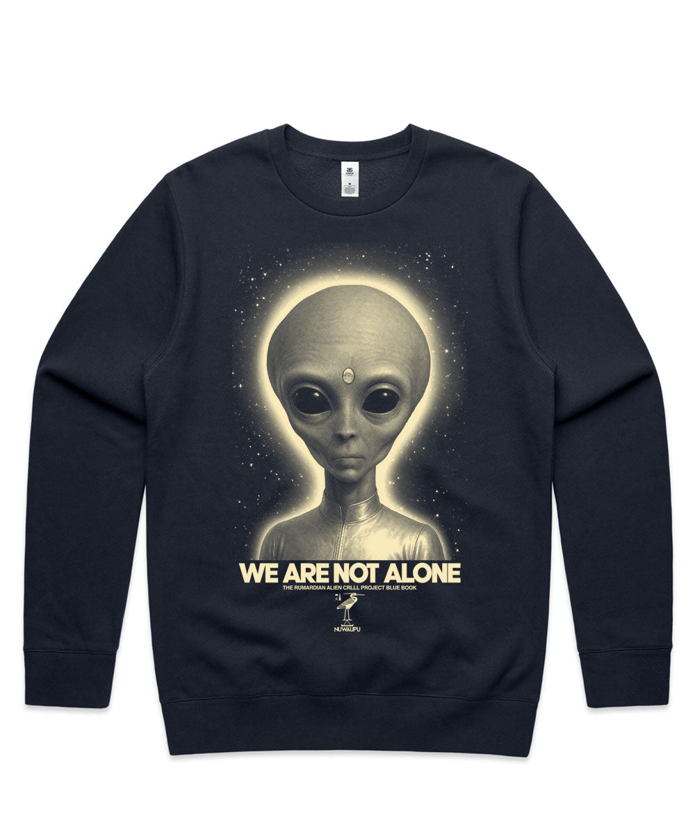 WE ARE NOT ALONE SWEATSHIRT BLUE